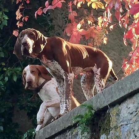 Villa Federici La Spezia Dış mekan fotoğraf