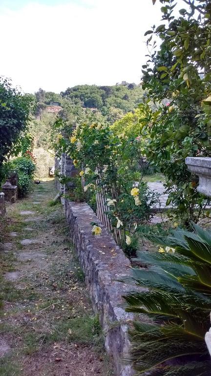 Villa Federici La Spezia Dış mekan fotoğraf